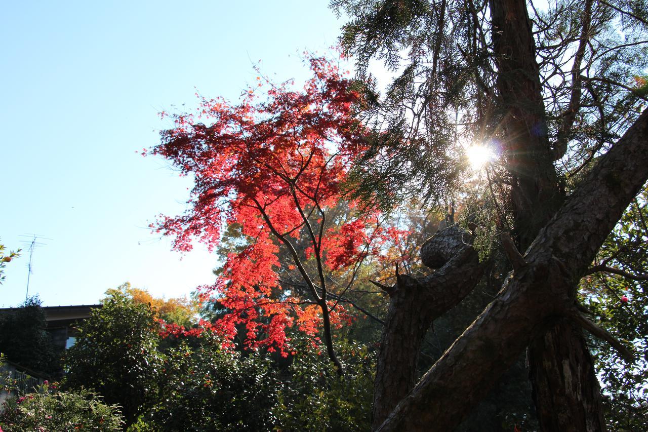 Kougetsu Sanso -- Moon Villa In Tokyo ฮาชิโอจิ ภายนอก รูปภาพ