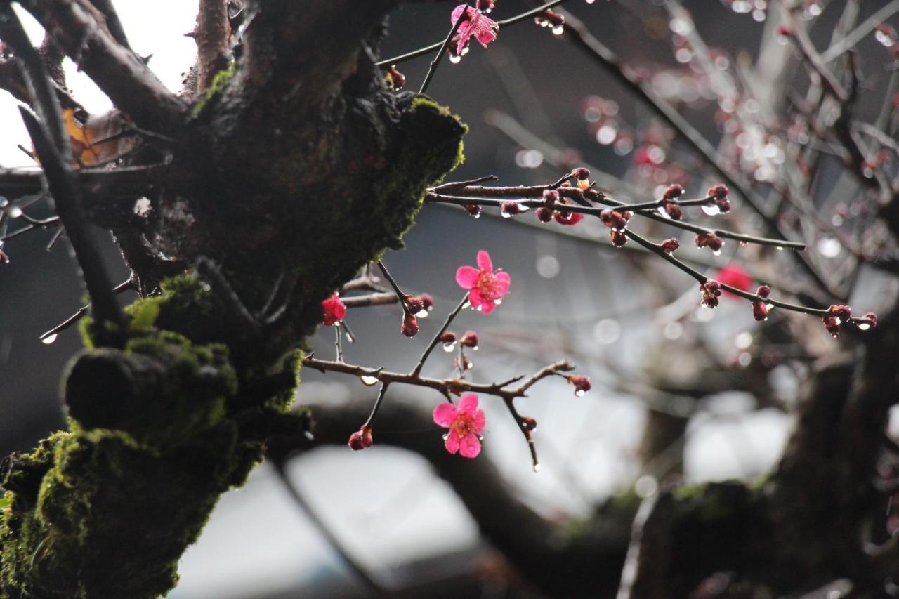 Kougetsu Sanso -- Moon Villa In Tokyo ฮาชิโอจิ ภายนอก รูปภาพ